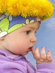 Similar image 588802