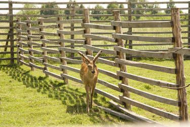 Similar image 588805