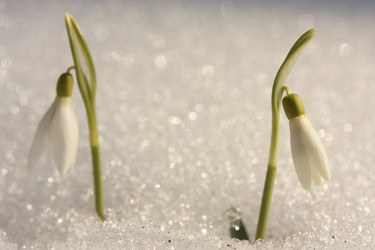 Similar image 588838