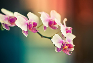 Similar image 588839