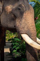 Similar image 588842