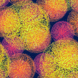 Similar image 588852