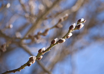 Similar image 588980