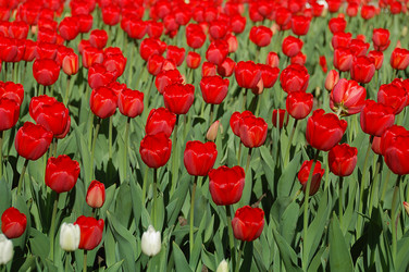 Similar image 588995