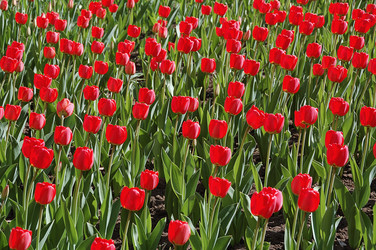 Similar image 588997