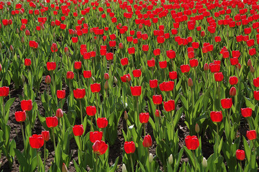 Similar image 589001