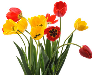 Similar image 589004