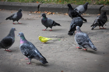 Similar image 589029