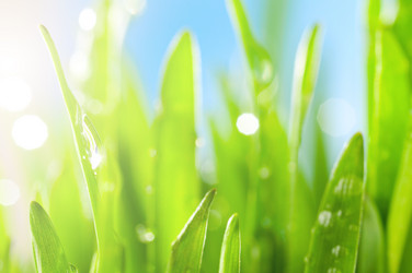 Similar image 589214