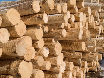 Similar image 589248