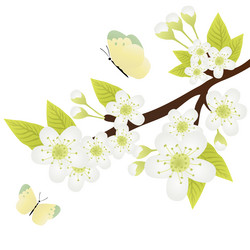 Similar image 589333