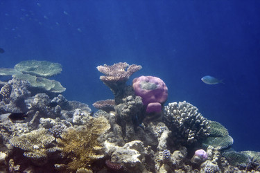 Similar image 589403