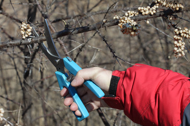 Similar image 589407