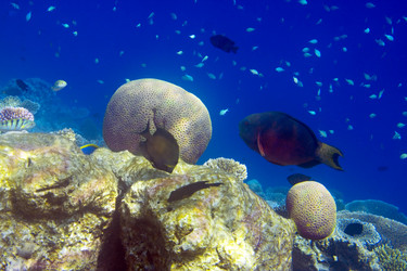 Similar image 589408