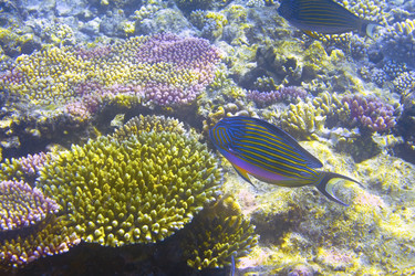 Similar image 589420