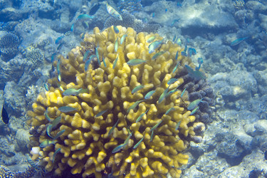 Similar image 589421