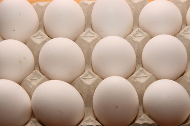 Similar image 589534