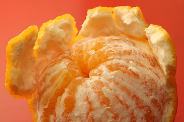 Similar image 589538