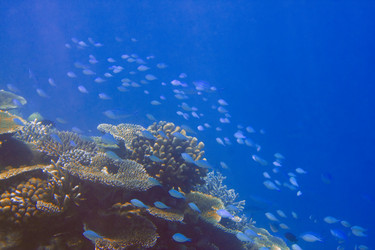 Similar image 589545