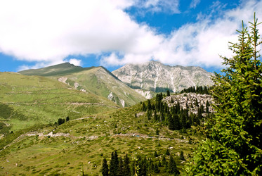 Similar image 589559