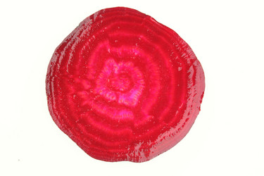 Similar image 589586