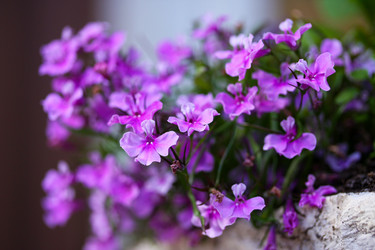 Similar image 589590