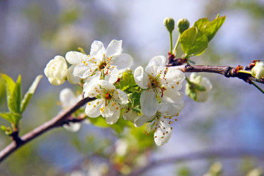 Similar image 589591