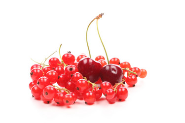 Similar image 589593