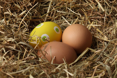 Similar image 589608