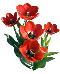 Similar image 589632