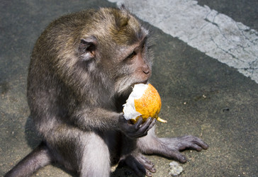 Similar image 589656