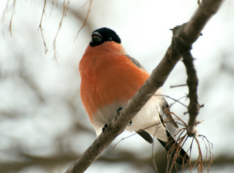 Similar image 589709