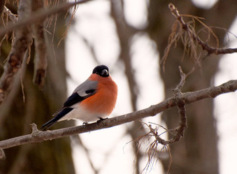 Similar image 589710