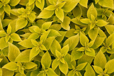 Similar image 589711