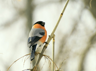 Similar image 589713