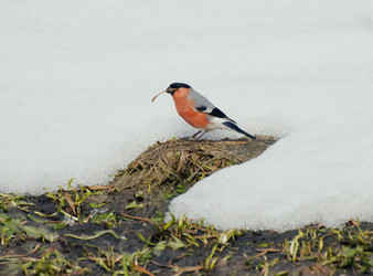 Similar image 589715