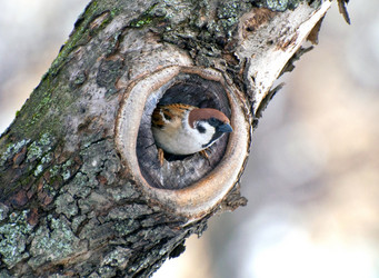 Similar image 589717