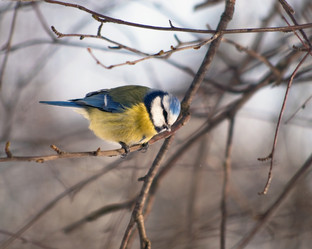 Similar image 589720