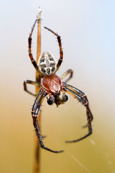 Similar image 589730