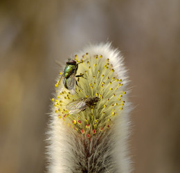 Similar image 589796