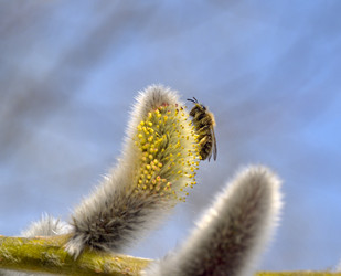 Similar image 589799