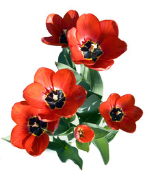 Similar image 589819