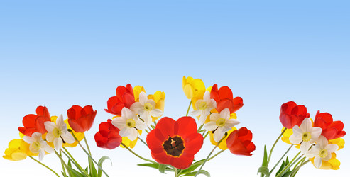 Similar image 589820