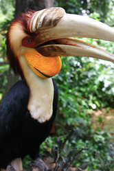 Similar image 589856