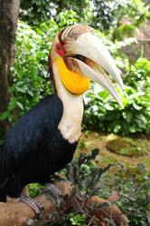 Similar image 589859