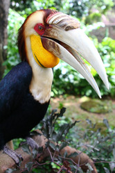 Similar image 589860