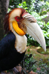 Similar image 589861