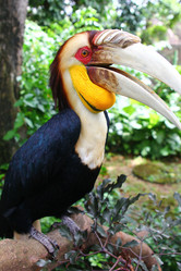 Similar image 589862