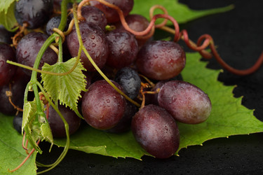 Similar image 589913