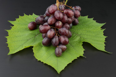 Similar image 589914